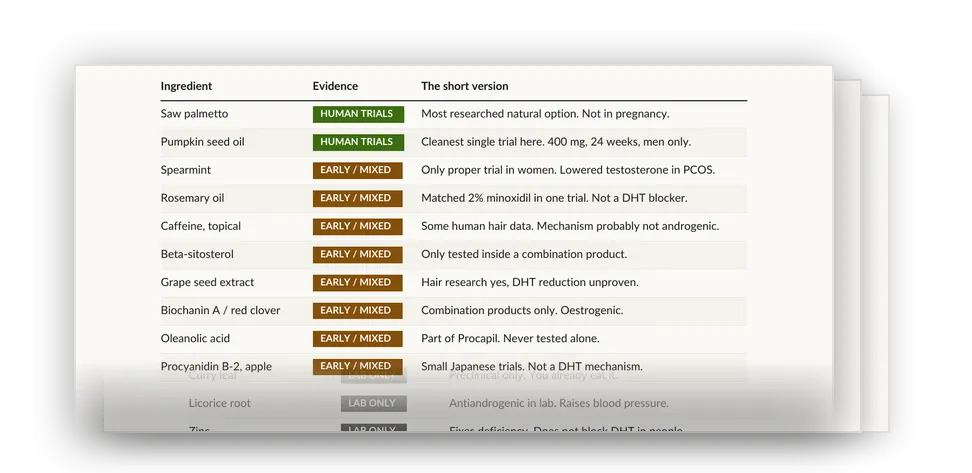 Preview of the natural DHT blockers PDF, showing the evidence table
